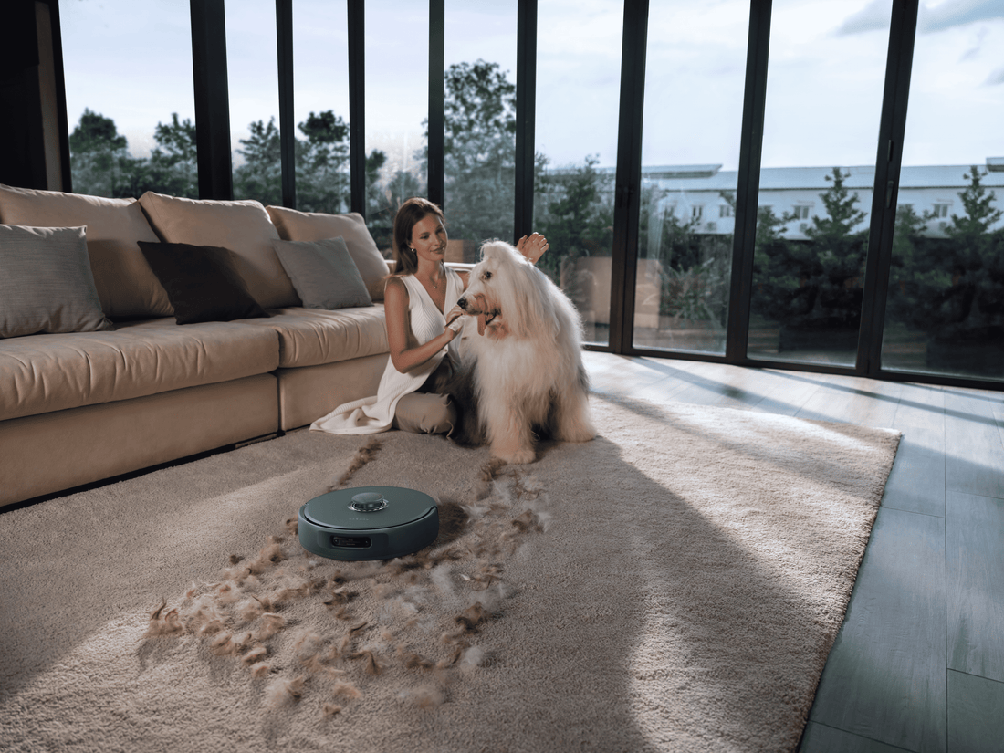 Hur du vänjer dina husdjur vid din robotdammsugare